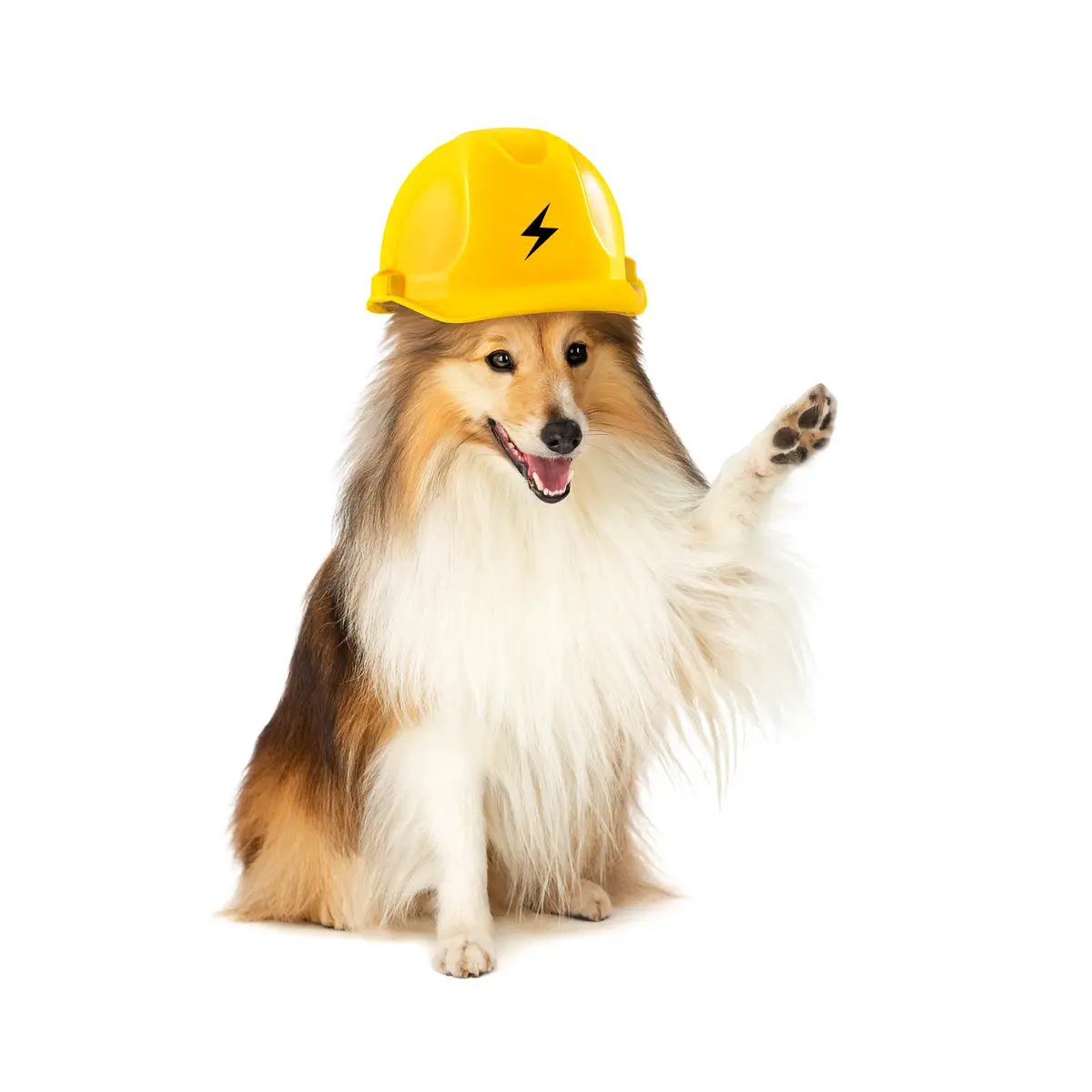 Sähkömiesvertailu Mascot